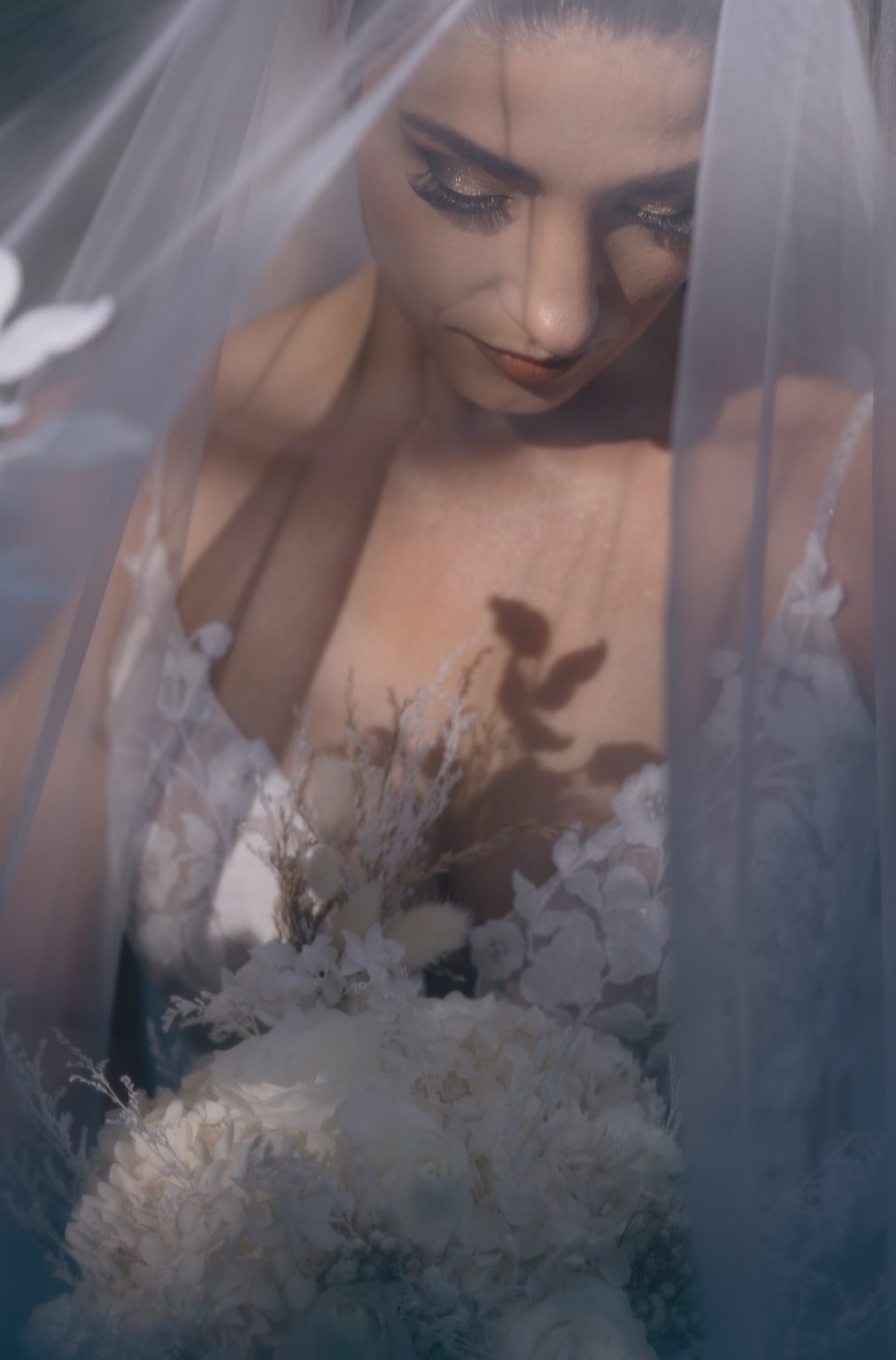 Brides portrait with the sunlight peaking through her veil by Daniel Baci photography
